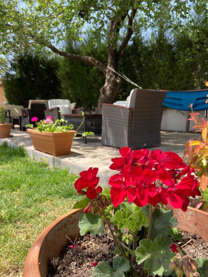 Safak Apart & Hotel Dalyan Exterior foto
